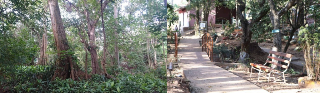 Parque Cocagua, Villa de San Francisco.